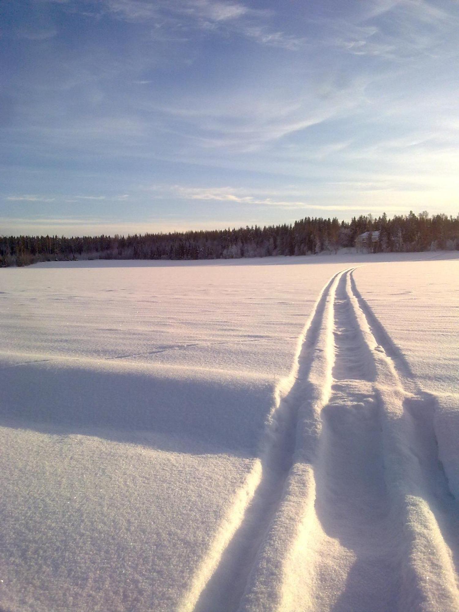 Majatalo Myoetaetuuli Hotel Pitkajarvi  Luaran gambar